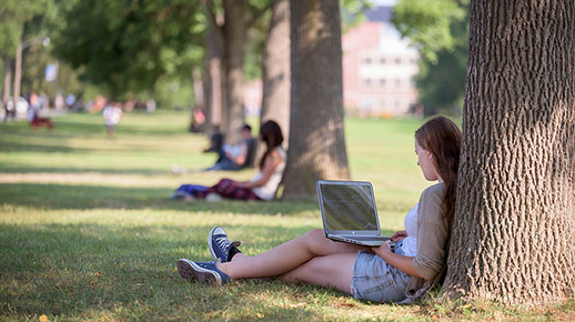 Student sitting in the grass while using laptop