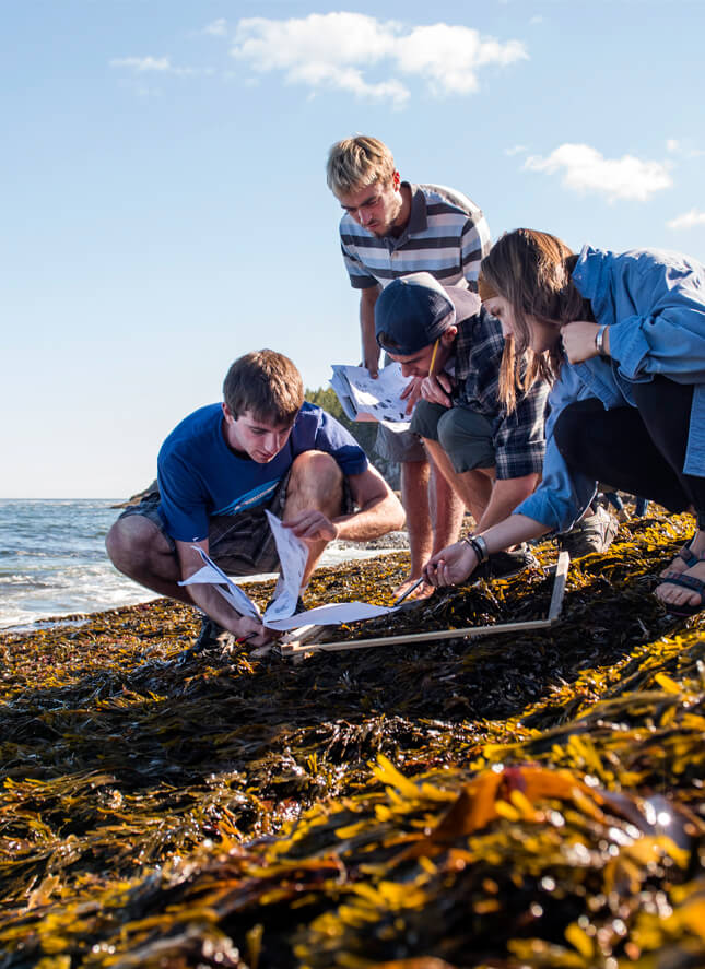 Students learn from an instructor on Maine's coast