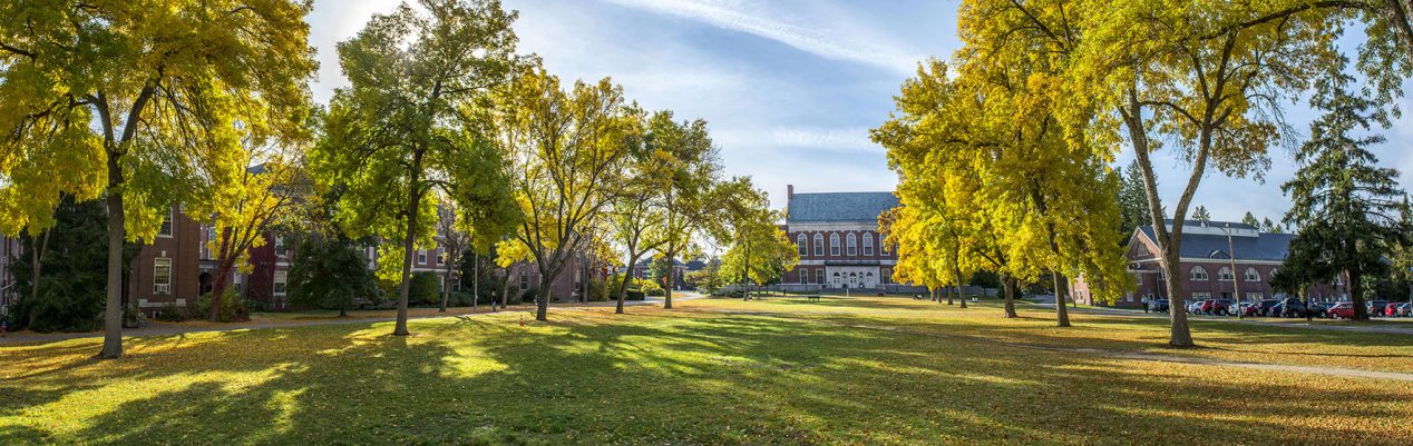 UMaine's Mall in fall