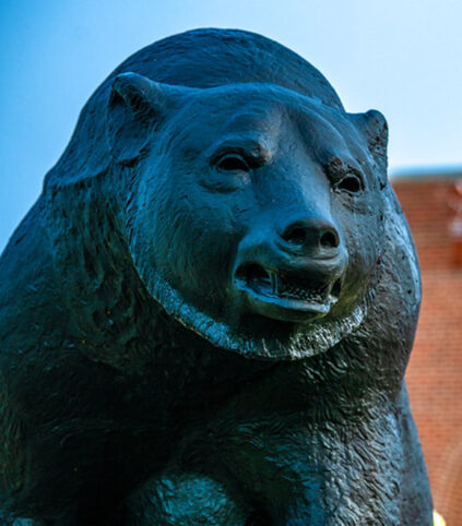 Bear statue on campus