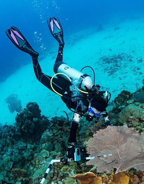Bob Steneck coral reef dive photos 052919