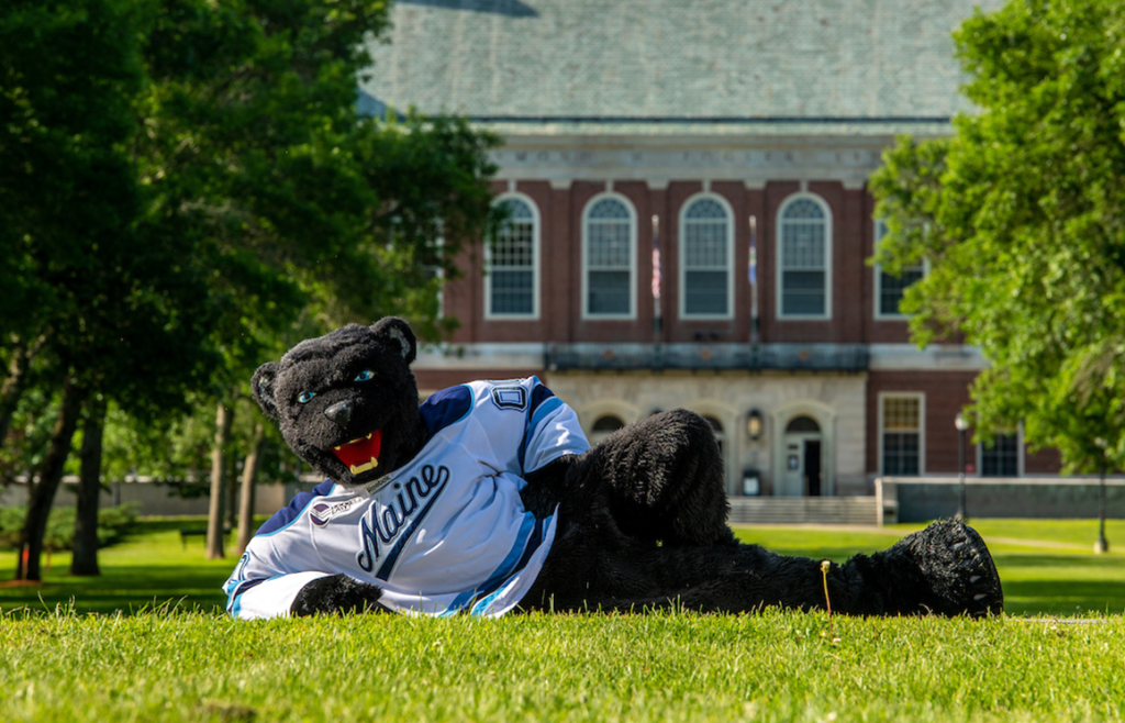 A photo of Bananas T. Bear laying on the mall